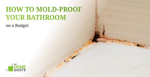 How to Mold-Proof Your Bathroom on a Budget