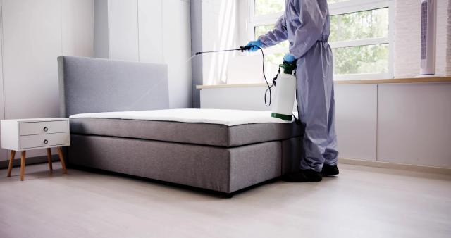 How to Get Rid of Bed Bugs: Effective DIY and Professional Methods How to Get Rid of Bed Bugs: Effective DIY and Professional Methods