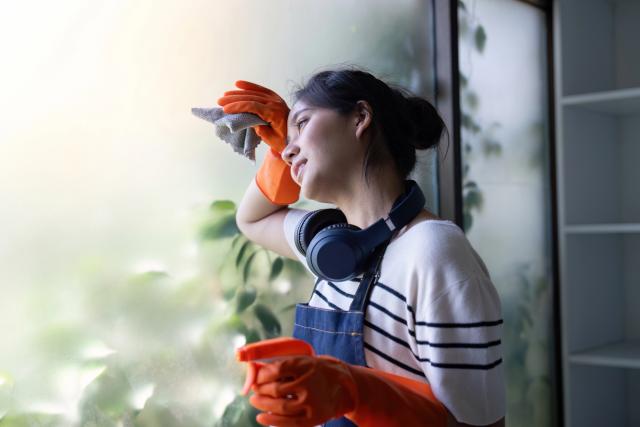 window screen cleaning