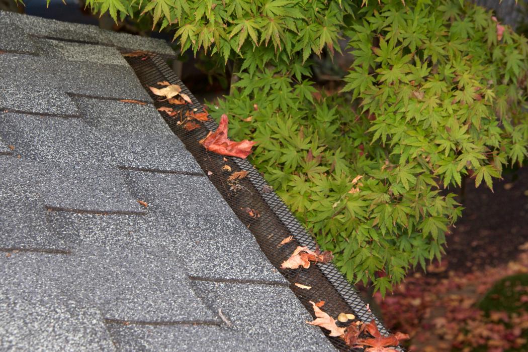 Discover the gutter guard price