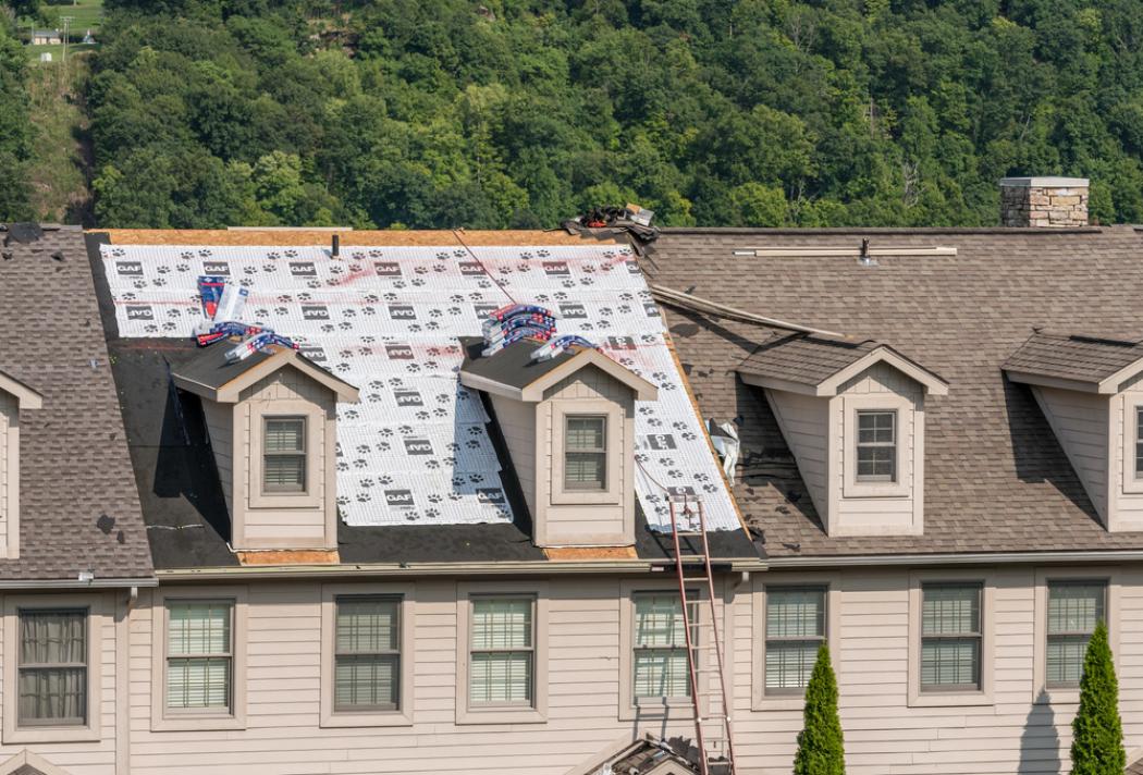 How does the cost of shingle roofing vary by brand?